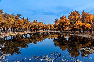《超凡双生》将改编成电视剧 游戏主演艾伦佩吉买下改编权